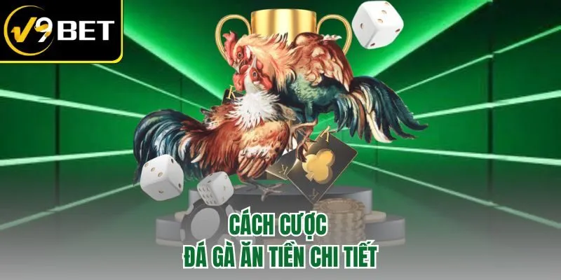 Cách cược đá gà ăn tiền chi tiết